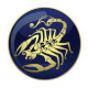 Skorpion Skorpion